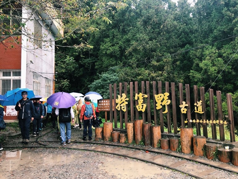 阿里山 特富野古道