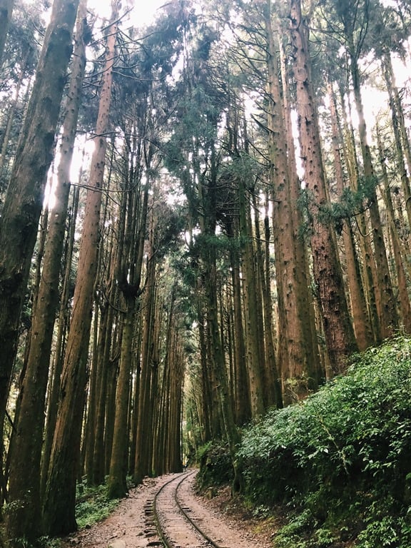 特富野古道