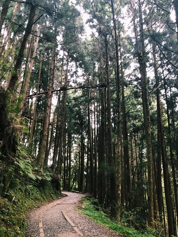 特富野古道