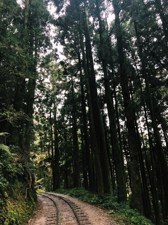 特富野古道