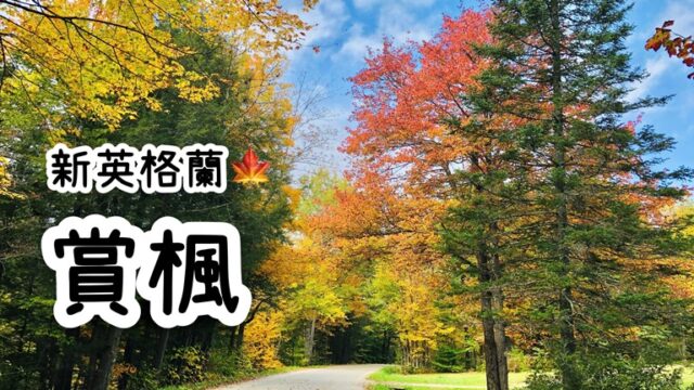 新英格蘭賞楓